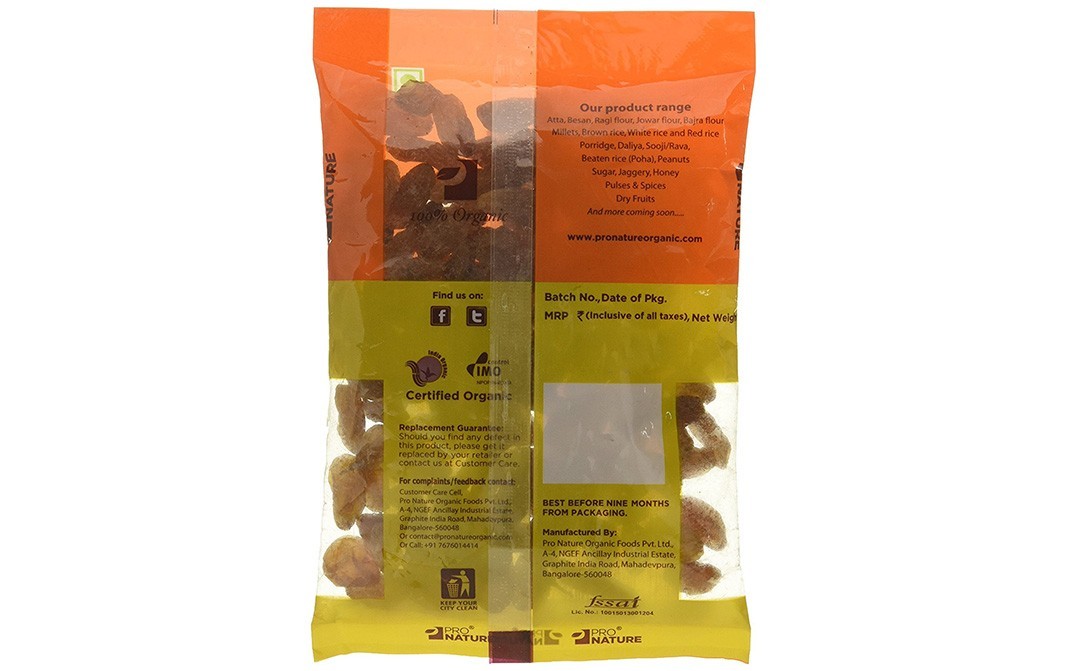 Pro Nature Organic Raisins    Pack  100 grams